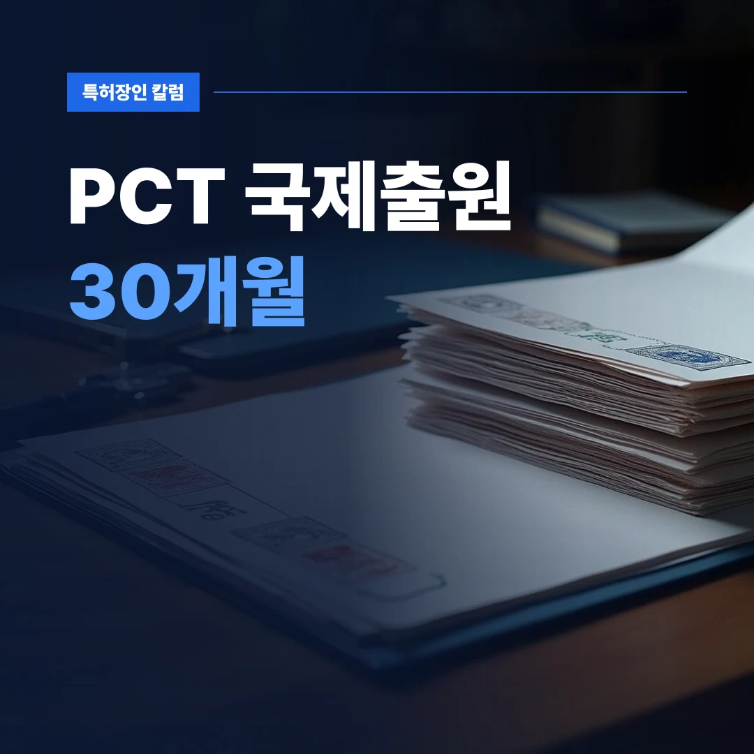 PCT 국제출원 30개월 — 해외 권리 확보를 준비하는 PCT 국제출원 30개월 서류 묶음